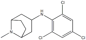 8-methyl-N-(2,4,6-trichlorophenyl)-8-azabicyclo[3.2.1]octan-3-amine|