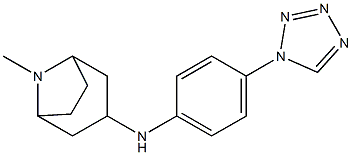 8-methyl-N-[4-(1H-1,2,3,4-tetrazol-1-yl)phenyl]-8-azabicyclo[3.2.1]octan-3-amine