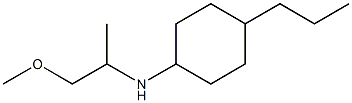 N-(1-methoxypropan-2-yl)-4-propylcyclohexan-1-amine Structure