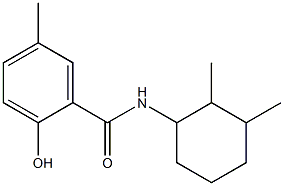 N-(2,3-dimethylcyclohexyl)-2-hydroxy-5-methylbenzamide 化学構造式