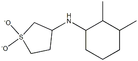 N-(2,3-dimethylcyclohexyl)-N-(1,1-dioxidotetrahydrothien-3-yl)amine 结构式