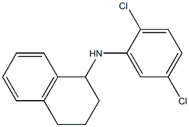 N-(2,5-dichlorophenyl)-1,2,3,4-tetrahydronaphthalen-1-amine Structure