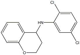 N-(2,5-dichlorophenyl)-3,4-dihydro-2H-1-benzopyran-4-amine Struktur