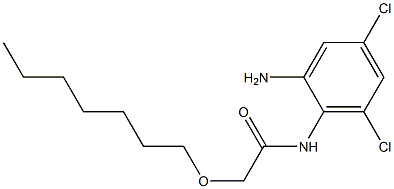 N-(2-amino-4,6-dichlorophenyl)-2-(heptyloxy)acetamide Struktur