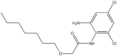 N-(2-amino-4,6-dichlorophenyl)-2-(heptyloxy)acetamide Structure