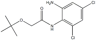 N-(2-amino-4,6-dichlorophenyl)-2-(tert-butoxy)acetamide,,结构式