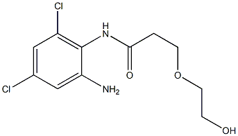 N-(2-amino-4,6-dichlorophenyl)-3-(2-hydroxyethoxy)propanamide Struktur
