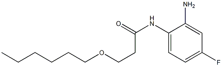 N-(2-amino-4-fluorophenyl)-3-(hexyloxy)propanamide Struktur