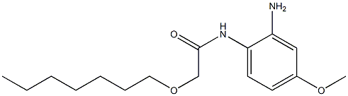 N-(2-amino-4-methoxyphenyl)-2-(heptyloxy)acetamide Struktur