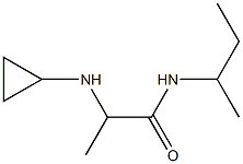 N-(butan-2-yl)-2-(cyclopropylamino)propanamide 化学構造式