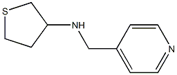 N-(pyridin-4-ylmethyl)thiolan-3-amine Structure