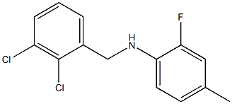 N-[(2,3-dichlorophenyl)methyl]-2-fluoro-4-methylaniline,,结构式