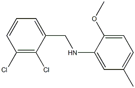 N-[(2,3-dichlorophenyl)methyl]-2-methoxy-5-methylaniline 结构式