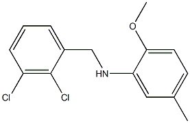 N-[(2,3-dichlorophenyl)methyl]-2-methoxy-5-methylaniline|