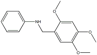  N-[(2,4,5-trimethoxyphenyl)methyl]aniline