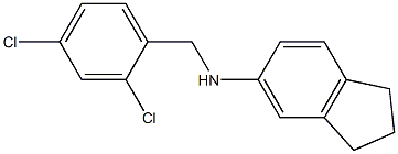 N-[(2,4-dichlorophenyl)methyl]-2,3-dihydro-1H-inden-5-amine 结构式