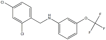 N-[(2,4-dichlorophenyl)methyl]-3-(trifluoromethoxy)aniline Struktur