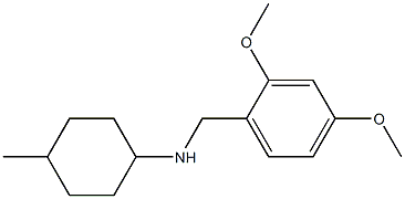 N-[(2,4-dimethoxyphenyl)methyl]-4-methylcyclohexan-1-amine Struktur