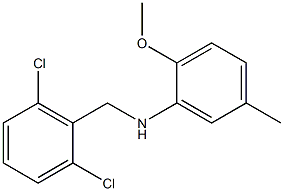 N-[(2,6-dichlorophenyl)methyl]-2-methoxy-5-methylaniline,,结构式