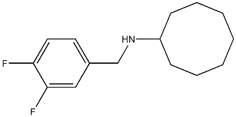N-[(3,4-difluorophenyl)methyl]cyclooctanamine,,结构式