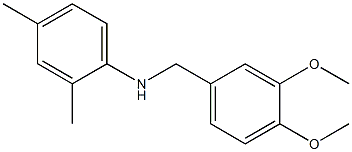N-[(3,4-dimethoxyphenyl)methyl]-2,4-dimethylaniline Struktur