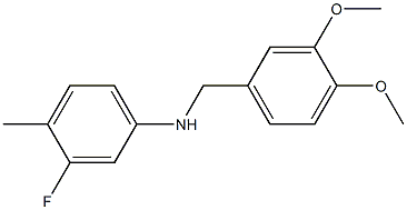  N-[(3,4-dimethoxyphenyl)methyl]-3-fluoro-4-methylaniline