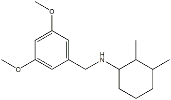  N-[(3,5-dimethoxyphenyl)methyl]-2,3-dimethylcyclohexan-1-amine