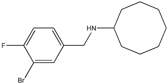 N-[(3-bromo-4-fluorophenyl)methyl]cyclooctanamine Structure