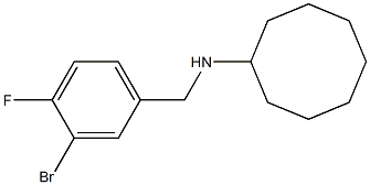 N-[(3-bromo-4-fluorophenyl)methyl]cyclooctanamine,,结构式