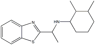 N-[1-(1,3-benzothiazol-2-yl)ethyl]-2,3-dimethylcyclohexan-1-amine Structure