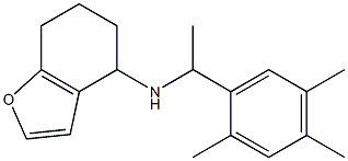 N-[1-(2,4,5-trimethylphenyl)ethyl]-4,5,6,7-tetrahydro-1-benzofuran-4-amine