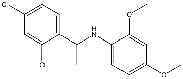 N-[1-(2,4-dichlorophenyl)ethyl]-2,4-dimethoxyaniline Structure