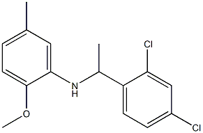 N-[1-(2,4-dichlorophenyl)ethyl]-2-methoxy-5-methylaniline Struktur