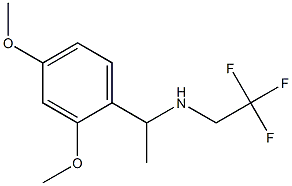 N-[1-(2,4-dimethoxyphenyl)ethyl]-N-(2,2,2-trifluoroethyl)amine Struktur