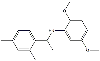 N-[1-(2,4-dimethylphenyl)ethyl]-2,5-dimethoxyaniline