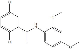 N-[1-(2,5-dichlorophenyl)ethyl]-2,4-dimethoxyaniline Structure