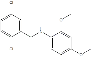 N-[1-(2,5-dichlorophenyl)ethyl]-2,4-dimethoxyaniline Struktur