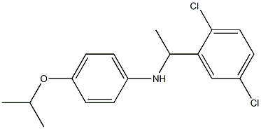 N-[1-(2,5-dichlorophenyl)ethyl]-4-(propan-2-yloxy)aniline 结构式