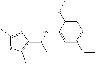 N-[1-(2,5-dimethyl-1,3-thiazol-4-yl)ethyl]-2,5-dimethoxyaniline,,结构式