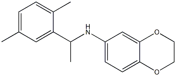 N-[1-(2,5-dimethylphenyl)ethyl]-2,3-dihydro-1,4-benzodioxin-6-amine 化学構造式