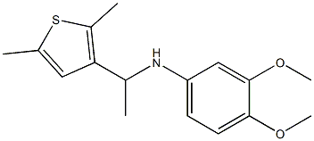 N-[1-(2,5-dimethylthiophen-3-yl)ethyl]-3,4-dimethoxyaniline