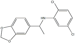  N-[1-(2H-1,3-benzodioxol-5-yl)ethyl]-2,5-dichloroaniline