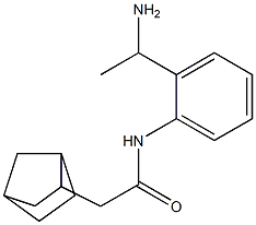 N-[2-(1-aminoethyl)phenyl]-2-{bicyclo[2.2.1]heptan-2-yl}acetamide Struktur