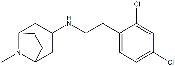 N-[2-(2,4-dichlorophenyl)ethyl]-8-methyl-8-azabicyclo[3.2.1]octan-3-amine 化学構造式