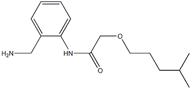 N-[2-(aminomethyl)phenyl]-2-[(4-methylpentyl)oxy]acetamide,,结构式