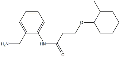 N-[2-(aminomethyl)phenyl]-3-[(2-methylcyclohexyl)oxy]propanamide 化学構造式