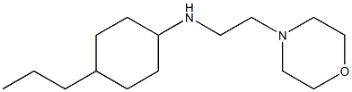 N-[2-(morpholin-4-yl)ethyl]-4-propylcyclohexan-1-amine 化学構造式