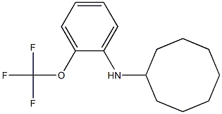 N-[2-(trifluoromethoxy)phenyl]cyclooctanamine|