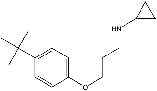  N-[3-(4-tert-butylphenoxy)propyl]cyclopropanamine