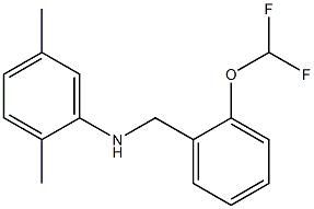 N-{[2-(difluoromethoxy)phenyl]methyl}-2,5-dimethylaniline 化学構造式